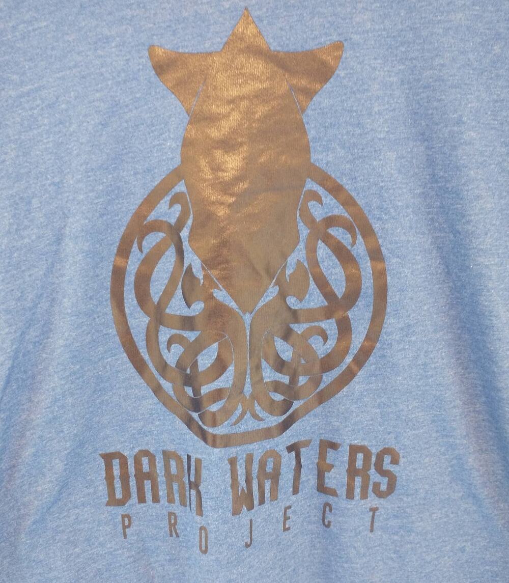Next Level Dark Waters Project Band T-Shirt Mens Small S Blue Darkgrass Rock